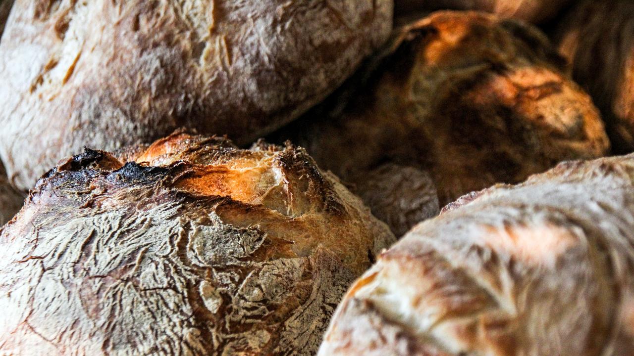 Wie gesund ist unser Brot? Alte und neue Sorten im Vergleich