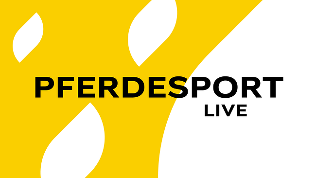 Pferdesport