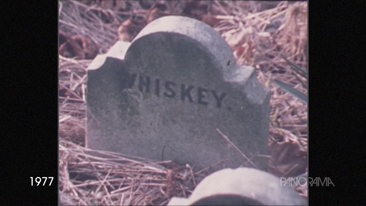 © ORF Am Bild aus dem Jahr 1977 ist ein kleiner Grabstein zu sehen, auf dem der Name "Whiskey" eingemeisselt ist.