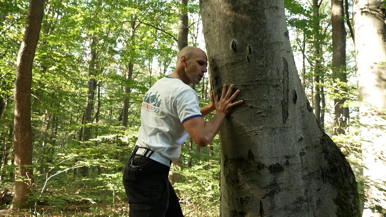 Albert Emmanuel Kessler bietet seinen Kunden eine herzstärkende Baumtherapie an, er bezeichnet sich selbst im Internet als „Covid19 Coach“.
