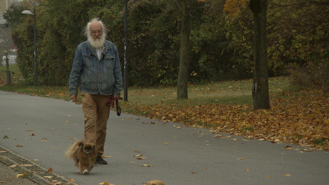 Herr Wölfig geht Gassi mit seinem Hund im Park