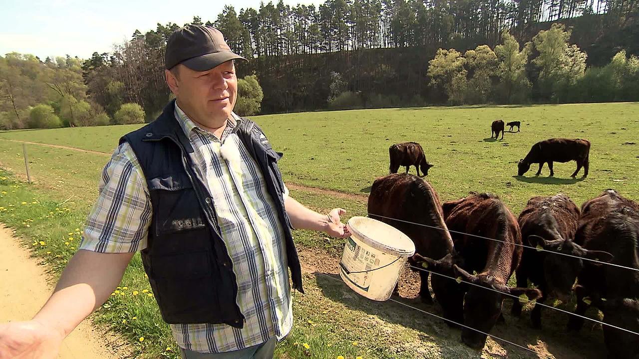 Bauer mit Kübel in der Hand bei seinen Kühen am Feld