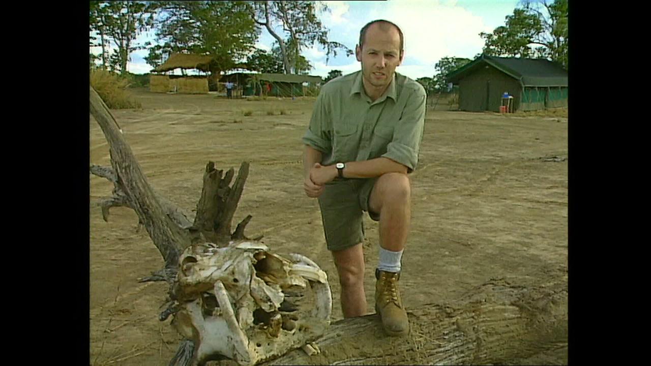 Peter Resetarits in Afrika in der Wüste