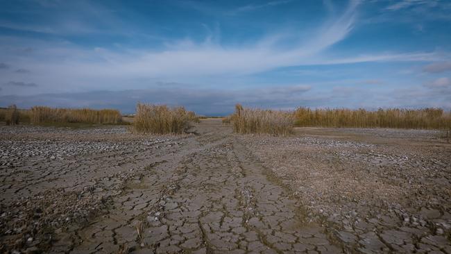 Trockenheit im Oktober in Mörbisch - ausgetrockneter See
