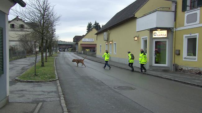 Vier Menschen mit Warnweste und einem Spürhund auf einer Straße
