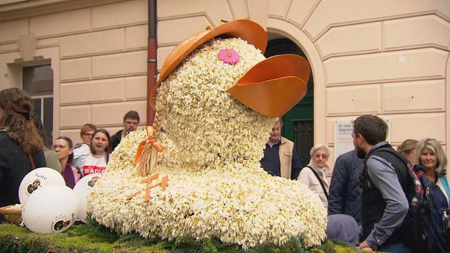 © ORF / Seitenblicke Ein Blumengesteck in Entenform aus Narzissen