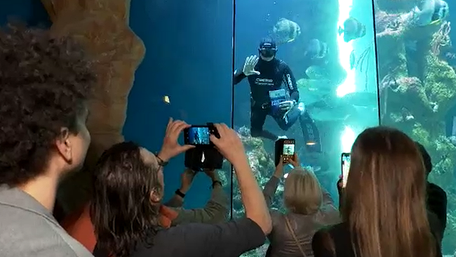 Apnoetaucher mit Buch im Haifischbecken, davor lauter Leute die das mit dem Handy fotografieren