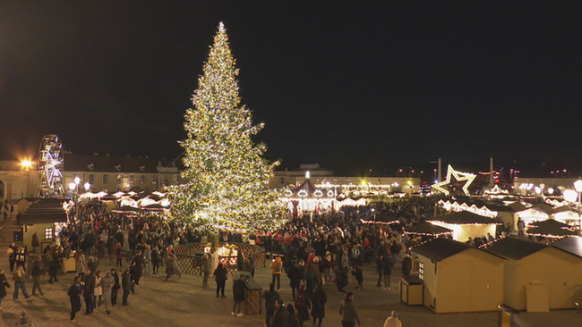 Beleuchteter Weihnachtsbaum am Christkindlmarkt vor dem Schloß Schönbrunn bei Dunkelheit