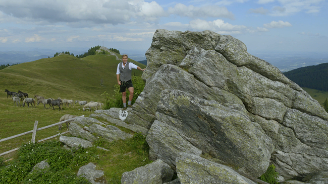Hans Knauß auf einem Felsen hinter ihm frei laufende Lipizzanner 
