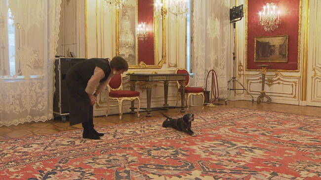 Innenraum der Wiener Hofburg, Schmidauer beugt sich runter, Hund Juli dehnt und reckt sich