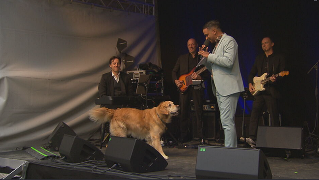 Bühne: Band im Hintergrund, Nair moderiert, Hund kommt schwanzwedeln auf ihn zu 