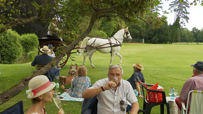 Im Vordergrund wird auf einer grünen Wiese gegessen und getrunken, im Hintergrund ist eine Pferdekutsche zu sehen.
