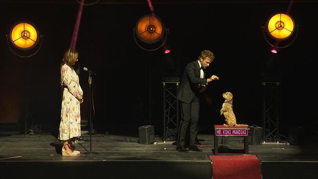 © ORF / Seitenblicke ZweiMagier und ein Hund performen auf einer Opernbühne...