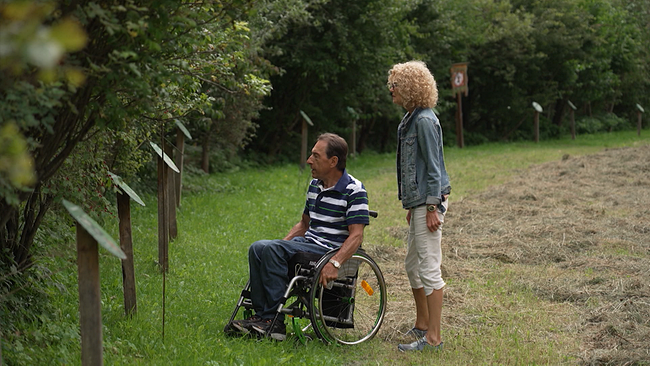 Zwei Personen, eine stehend und eine Person im Rollstuhl, sehen sich einen Garten inmitten der Natur an