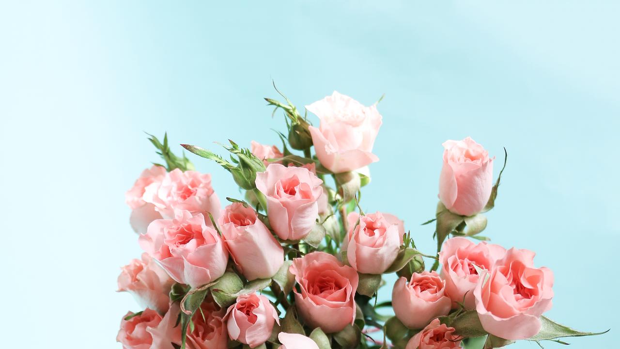 © picjumbo.com/mimivelarde Blaumenstrauß aus Rosen