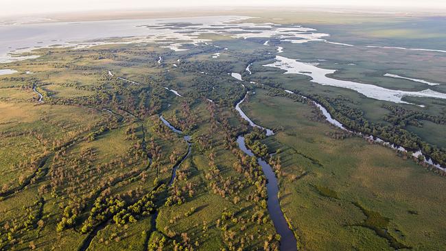 Vogelperspektive, mehrere Flussarme münden in das Wolgadelta.