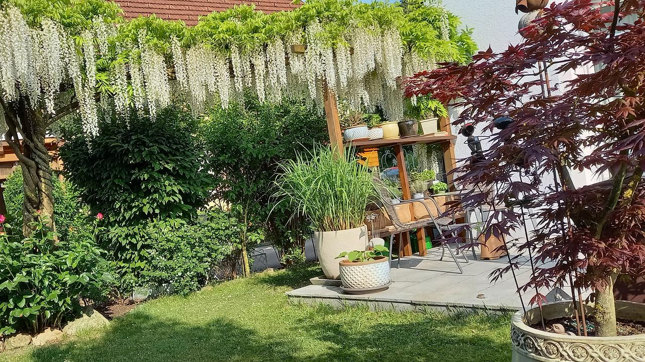 Der Garten von Alois Übleis