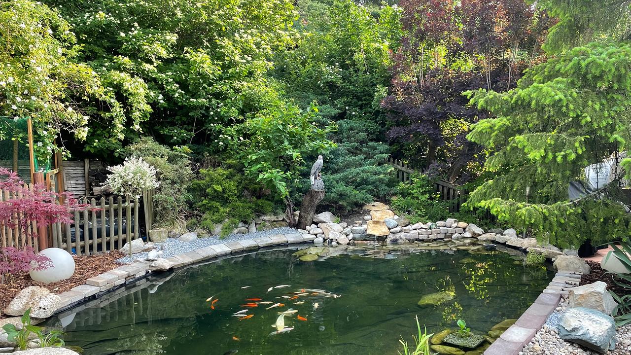 Das Gartenfoto von Brigitte Kaufmann in Guntramsdorf