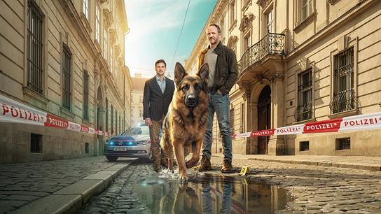 In einer abgesperrten Wiener Altstadtstraße mit Polizeiband und Streifenwagen stehen Ferdinand Seebacher und Maximilian Brückner mit Kommissar Rex, einem Schäferhund, an einem Tatort, wo ein Beweisstück neben einer Pfütze markiert ist.