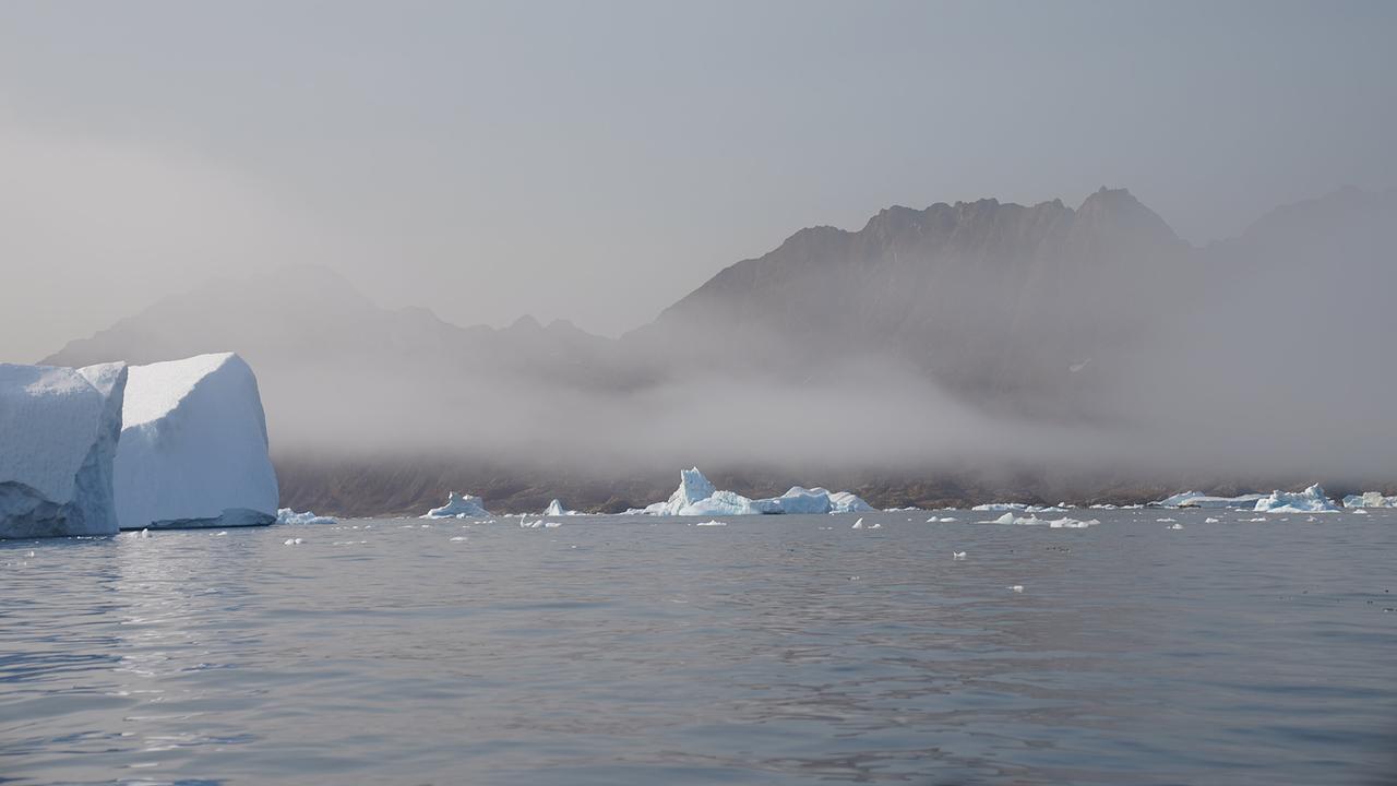 © ORF/Paul Sihorsch Eisberge und kleinere Eisschollen treiben vor einer nebelverhangenen, schroffen Bergküste in Grönland.