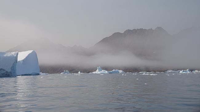 Eisberge und kleinere Eisschollen treiben vor einer nebelverhangenen, schroffen Bergküste in Grönland.
