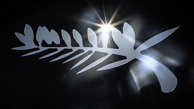 Dieses Foto zeigt das Logo der Goldenen Palme vor den 76. Filmfestspielen von Cannes am 15. Mai 2023 in Cannes im Südosten Frankreichs. Die Filmfestspiele von Cannes finden vom 16. bis 27. Mai 2023 statt.