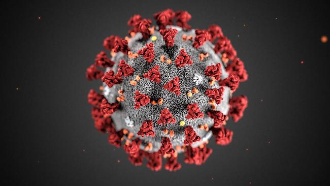 Coronavirus
