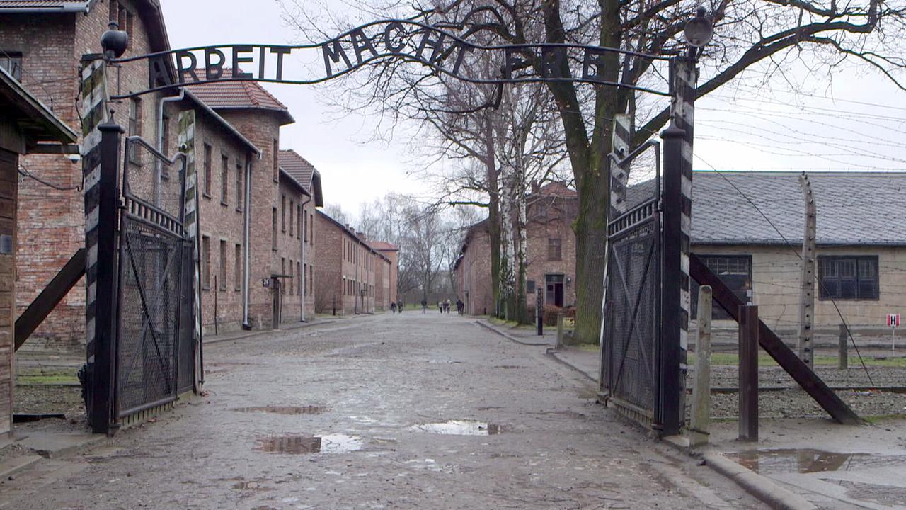 Das Bild zeigt den Eingang eines ehemaligen nationalsozialistischen Konzentrationslagers von Auschwitz mit dem Torbogen „Arbeit macht frei“ und den dahinterliegenden Backsteinbaracken.