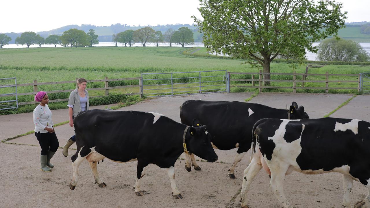 Foodhacks mit Nadiya Hussain: Nadiya mit dem Team der Yeo Valley Farm in Somerset.