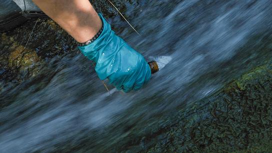 Eine Hand mit blauem Handschuh sammelt eine Glasflasche aus einem kontaminierten Wasser im Departement Gard, Frankreich