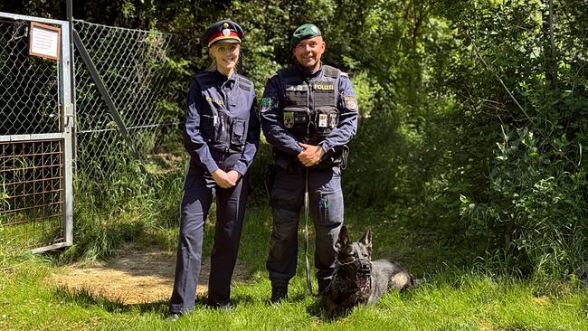Hallo, was machst Du?: Lena trifft Markus und seinen Polizeihund Sunny