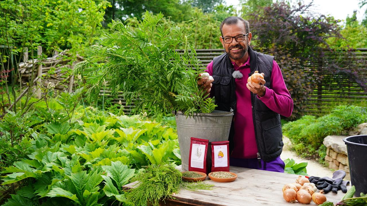 „Natur im Garten“ startet am 4. September in den Herbst - tv.ORF.at