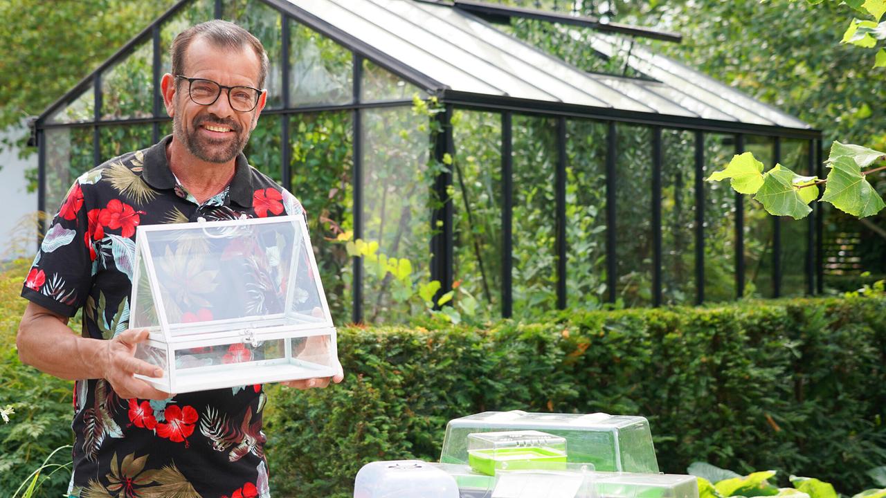 "Natur im Garten": Tag für Tag wird es kühler und den Traum vom Süden gibt es bald nur noch unter Glas. Aber Glashaus ist nicht gleich Glashaus. Karl Ploberger hat die wichtigsten Tipps für die richtige Pflege. 