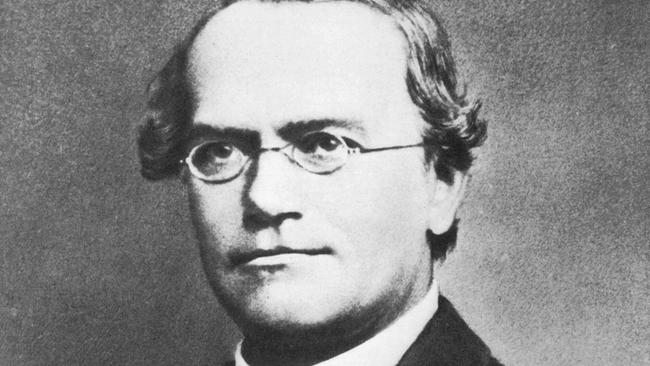 "Der Pfarrer, der die Gentechnik erfand": Gregor Mendel
