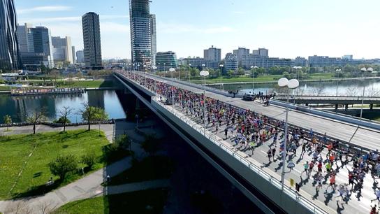 Beim Vienna City Marathon laufen zahlreiche  Läuferinnen und Läufer über die Reichsbrücke.