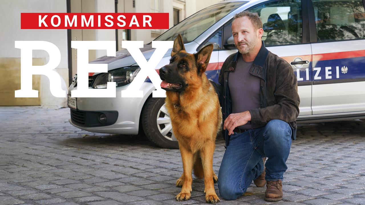 Wau-Moment in ORF 1 und auf ORF ON! „Kommissar Rex“ startet am 13. April 2026