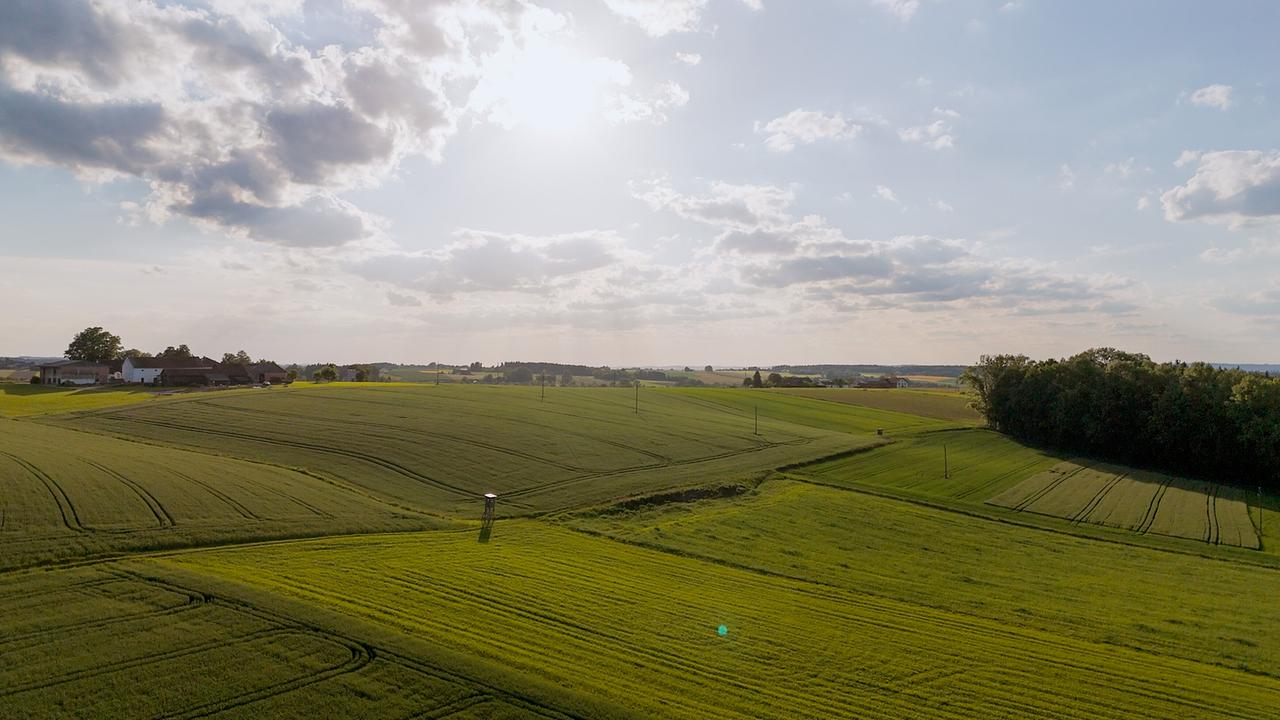 © ORF/Feuer&Flamme Film Weites Land Oberösterreich