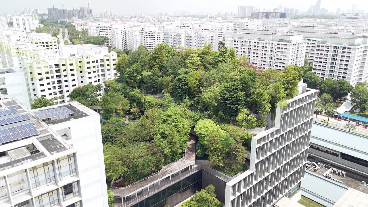 Eine städtische Umgebung in Singapur mit vielen Wohngebäuden, in deren Mitte sich ein großer, dicht bepflanzter Bereich mit Bäumen und Grünflächen befindet.