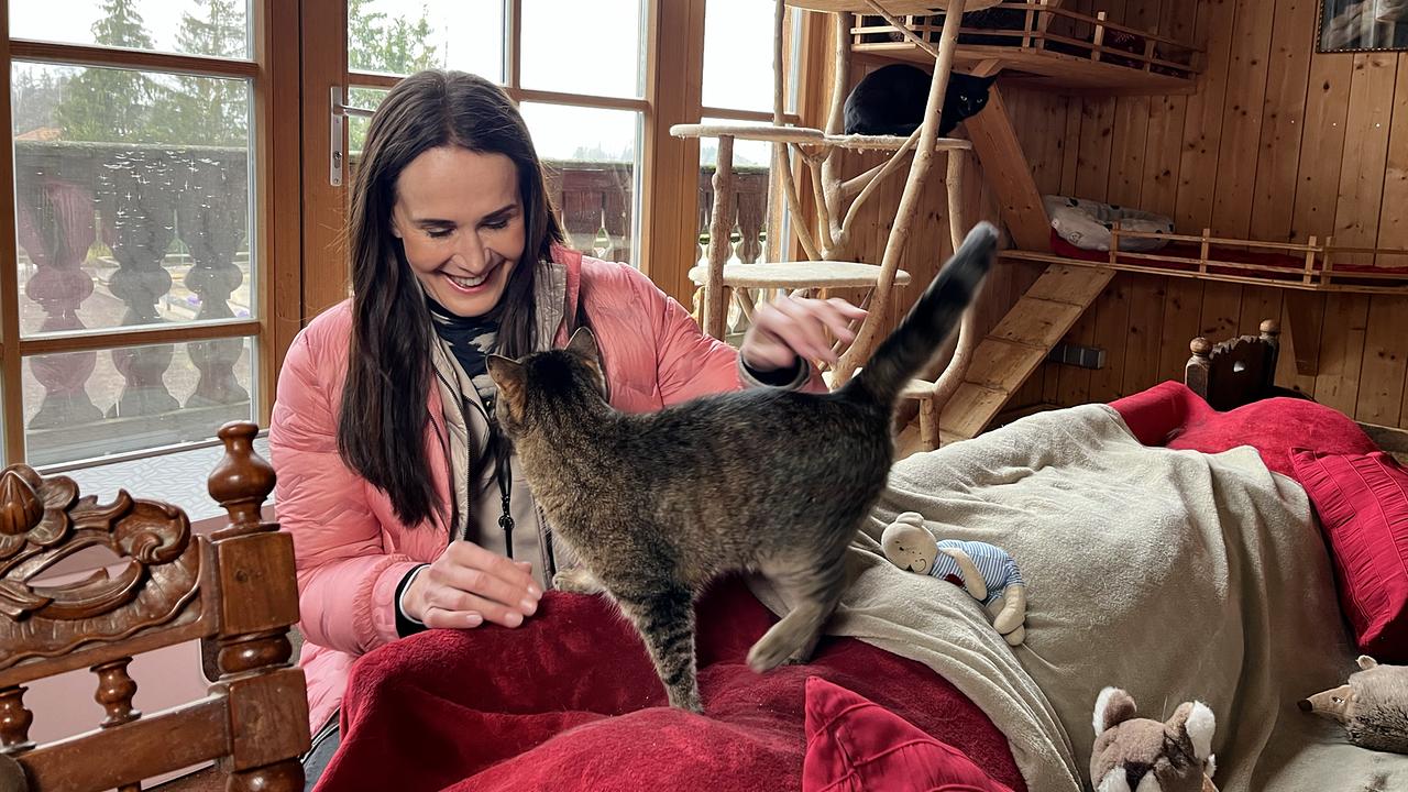 © ON-Media Maggie Entenfellner im Katzenhaus auf Gut Aiderbichl