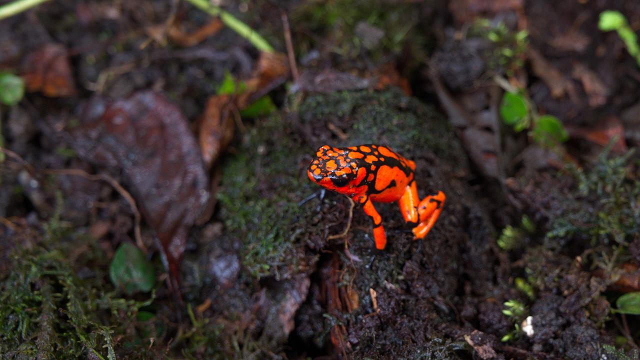 © ORF/Cosmos Factory/Harald Pokieser