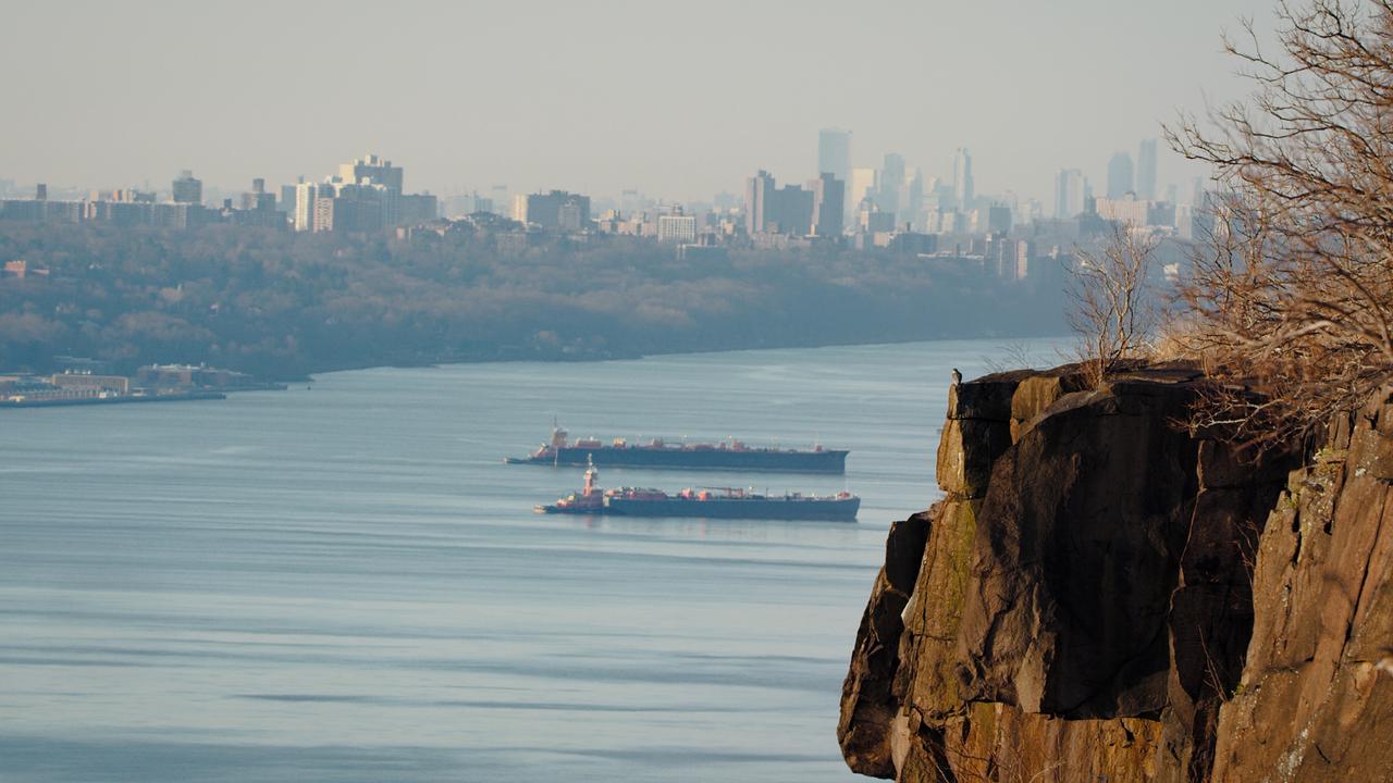 Ein steiler Felsen, auf diesem sitzt ganz oben an der Kante ein Wanderfalke. Auf dem Hudson River am Fuß der Klippe fahren zwei Frachtschiffe, das Ufer ist grün bewachsen. Im Hintergrund erstreckt sich die Skyline von New York.