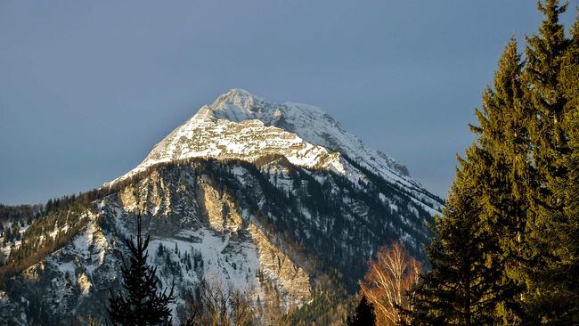 Der schneebedeckte Gipfel des Ötschers wird von der Sonne angeschienen, im Vordergrund Nadelbäume.