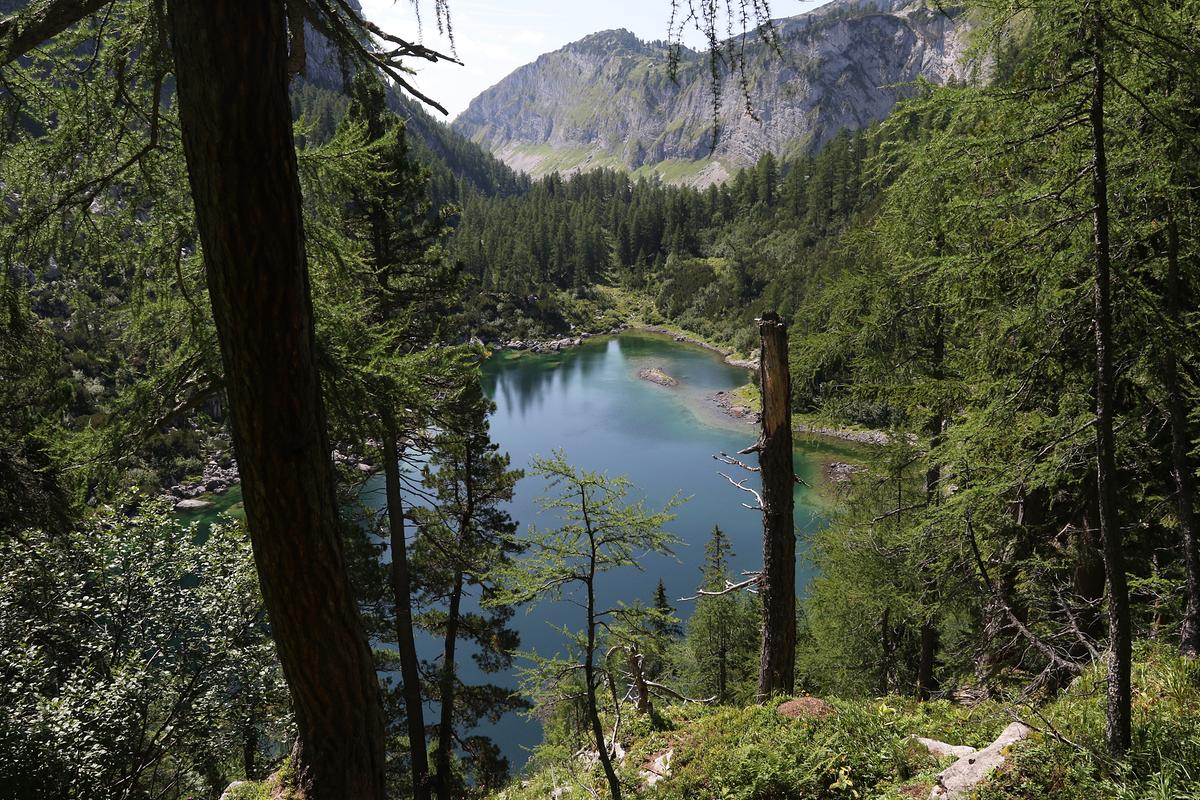 Ein kleiner, smaragdgrüner Bergsee der von steilen Hängen und Bäumen eingerahmt wird.