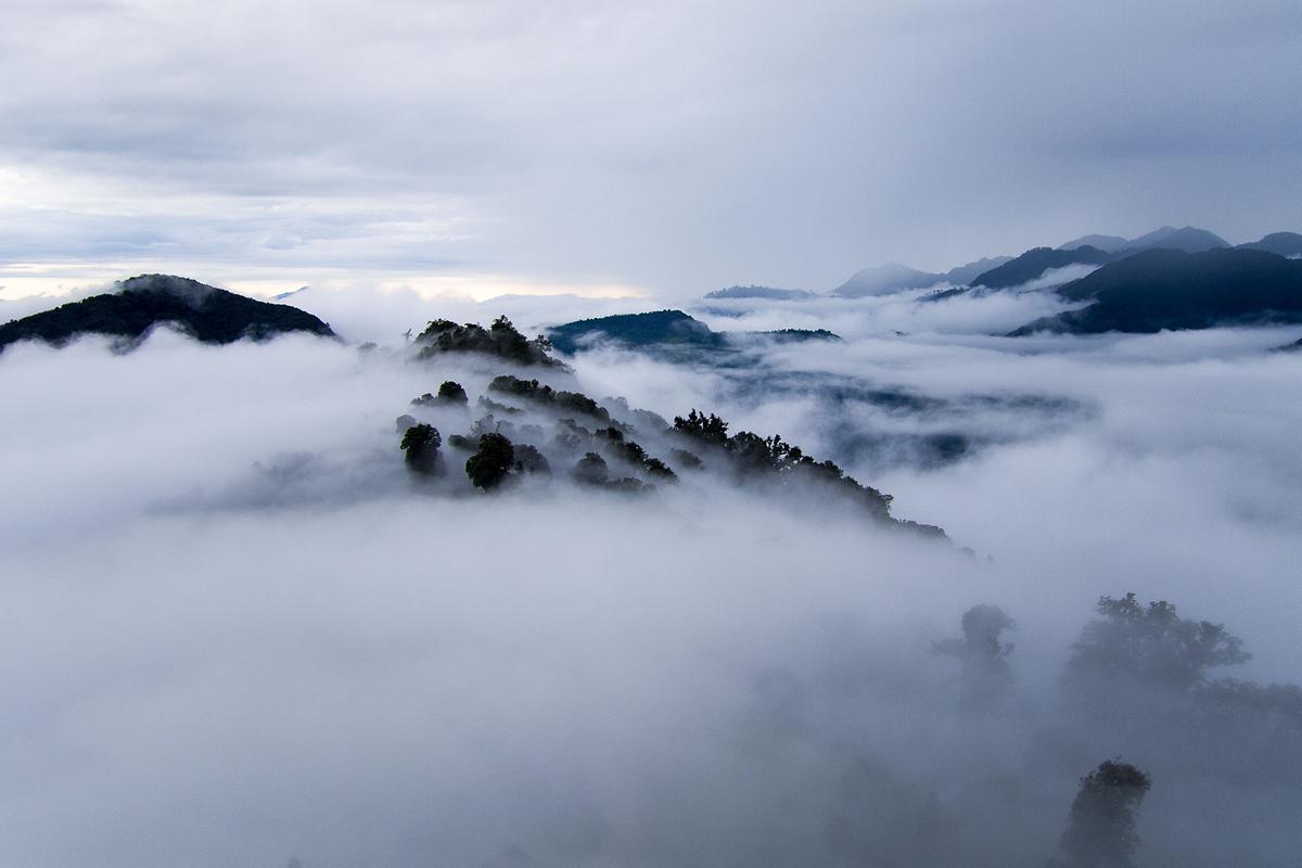 Eine dicke Schicht Nebel liegt auf dem Regenwald Nepals. Auch der Himmel ist bewölkt.