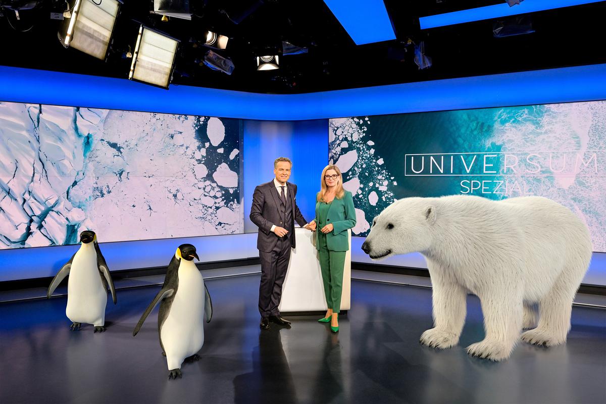Christa Kummer und Tarek Leitner vor einem Stehpult im Fernsehstudio. Auf der Videowand links sind Schnee und Eisschollen erkennbar, rechts davon blaues Meer und Brandungswellen. Im Vordergrund befinden sich zwei virtuelle Pinguine und ein Eisbär.