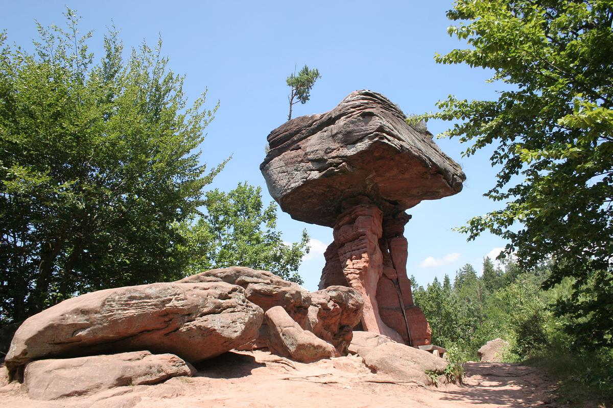 Ein rötlicher Felsen, der an einen Tisch erinnert. Er hat einen schmalen Fuß und ein breites Oberteil, auf ihm wächst eine kleine Kiefer. Büsche und Bäume umgeben den Felsen.