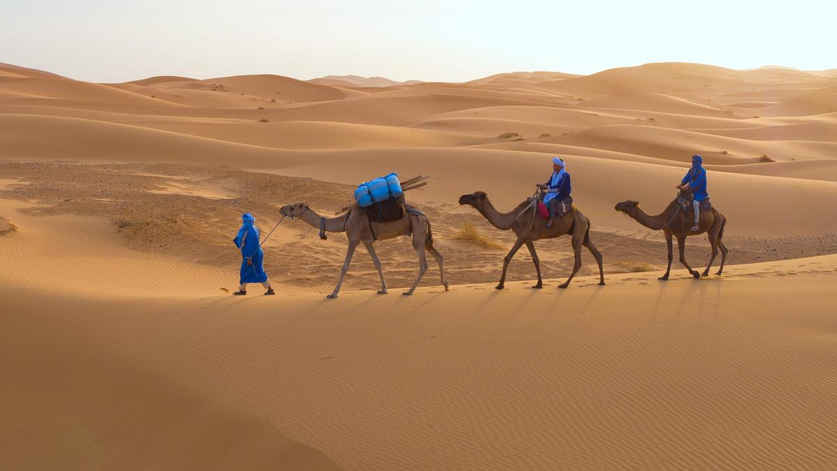 Drei Kamele auf einer Sanddüne, das erste wird von einem Mann in blauem Gewand geführt und trägt eine Last, auf den beiden anderen sitzen Reiter, ebenfalls blau gekleidet.