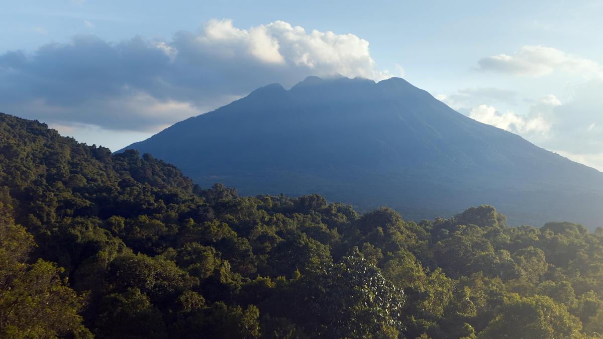 Dichter Regenwald, ein Schwarm Vögel und ein pyramidenförmiger Berg.