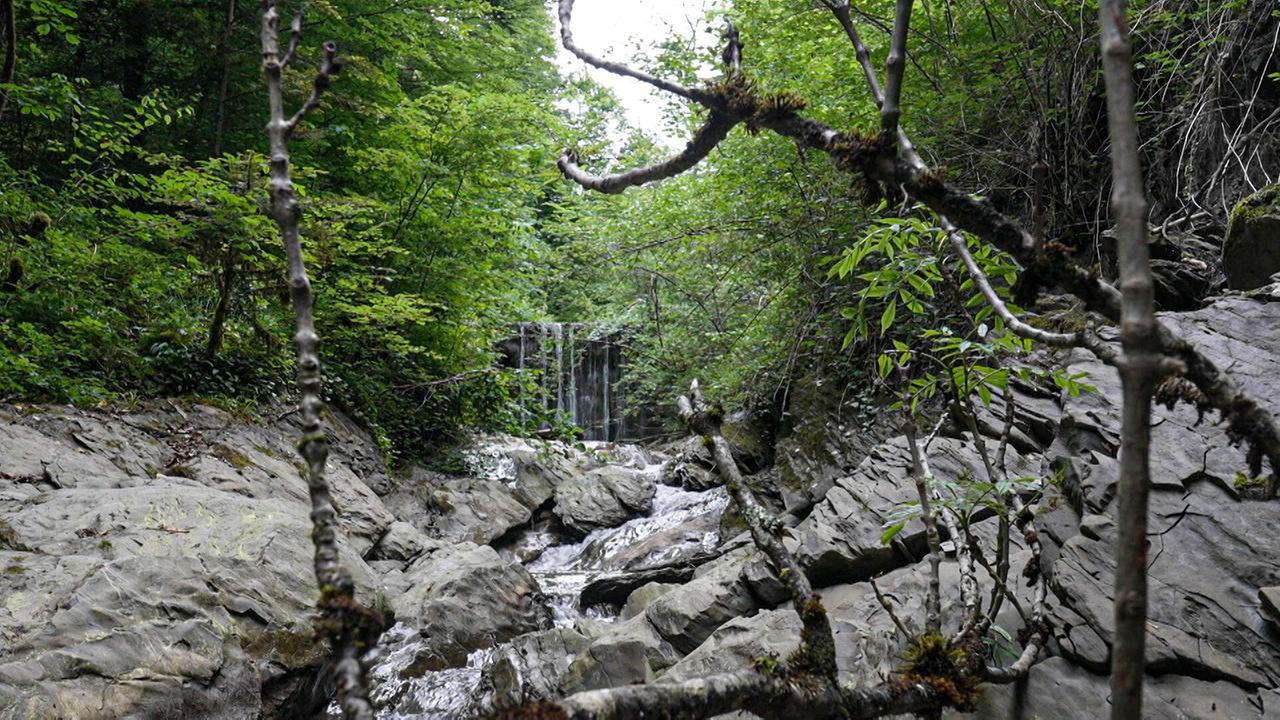 Im dichten Wald stürzt über felsigen Untergrund ein kleiner Bach in die Tiefe. Im Hintergrund ist ein kleiner Wasserfall erkennbar.