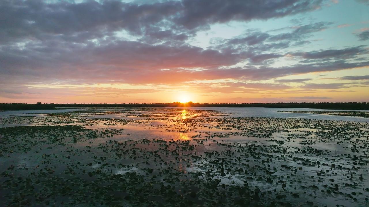 Eine weitläufige Wasserlandschaft mit unregelmäßigem Pflanzenbewuchs, die Sonne steht tief am Horizont und färbt den Himmel orange und rosa. Die Wolken am Himmel sind violett.